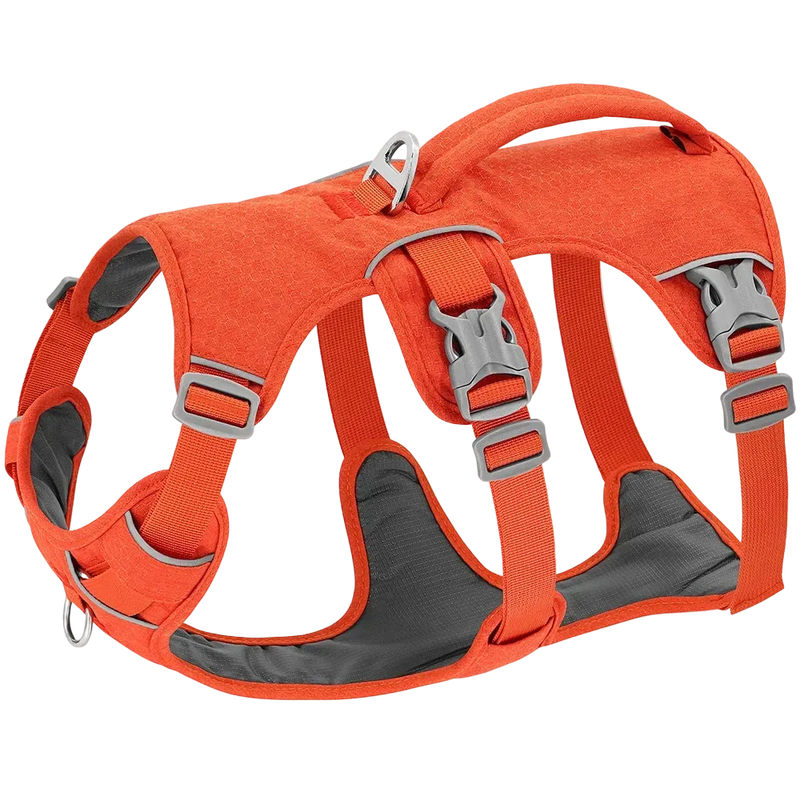 Harnais chien Anti Traction Promenade coloris orange, vue de profil