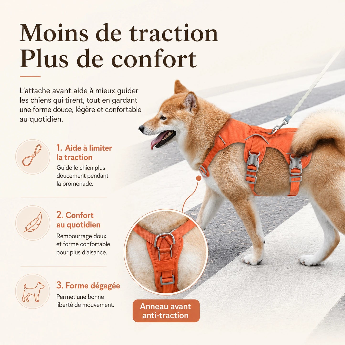 Harnais Chien Anti Traction Promenade
