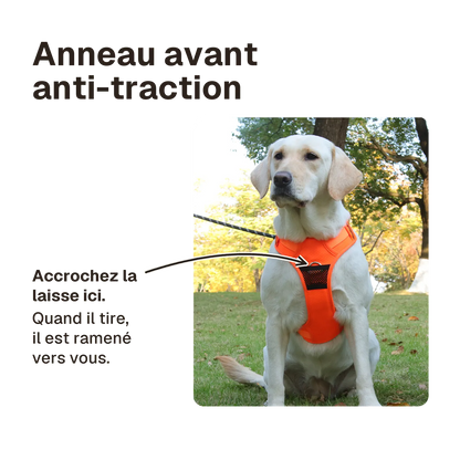 Harnais Chien Anti Traction Réfléchissant : accrochez la laisse à l'anneau avant, le chien est ramené vers vous