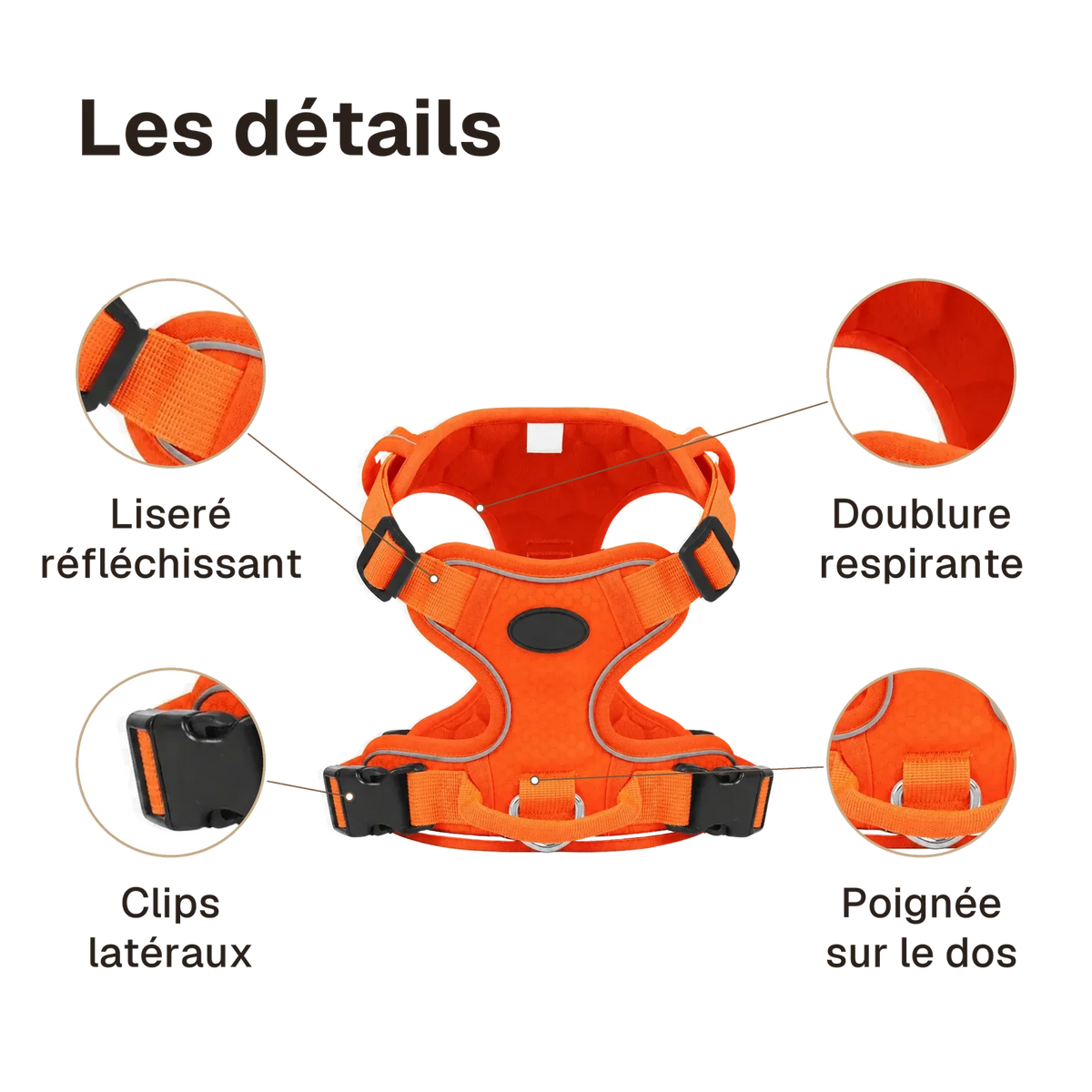 Les détails du harnais chien anti traction réfléchissant : liseré réfléchissant, clips latéraux, doublure respirante, poignée sur le dos