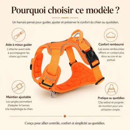 Harnais Chien Anti Traction Réfléchissant