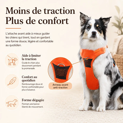 Harnais Chien Anti Traction Réfléchissant