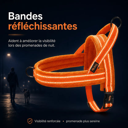 Harnais Chien Anti Traction Rembourré