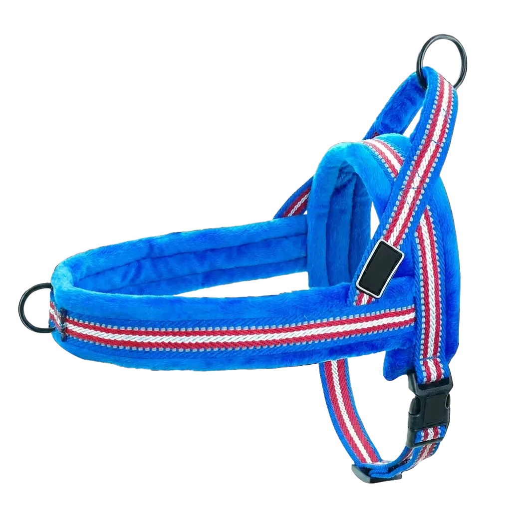 Harnais chien anti traction rembourré bleu rouge