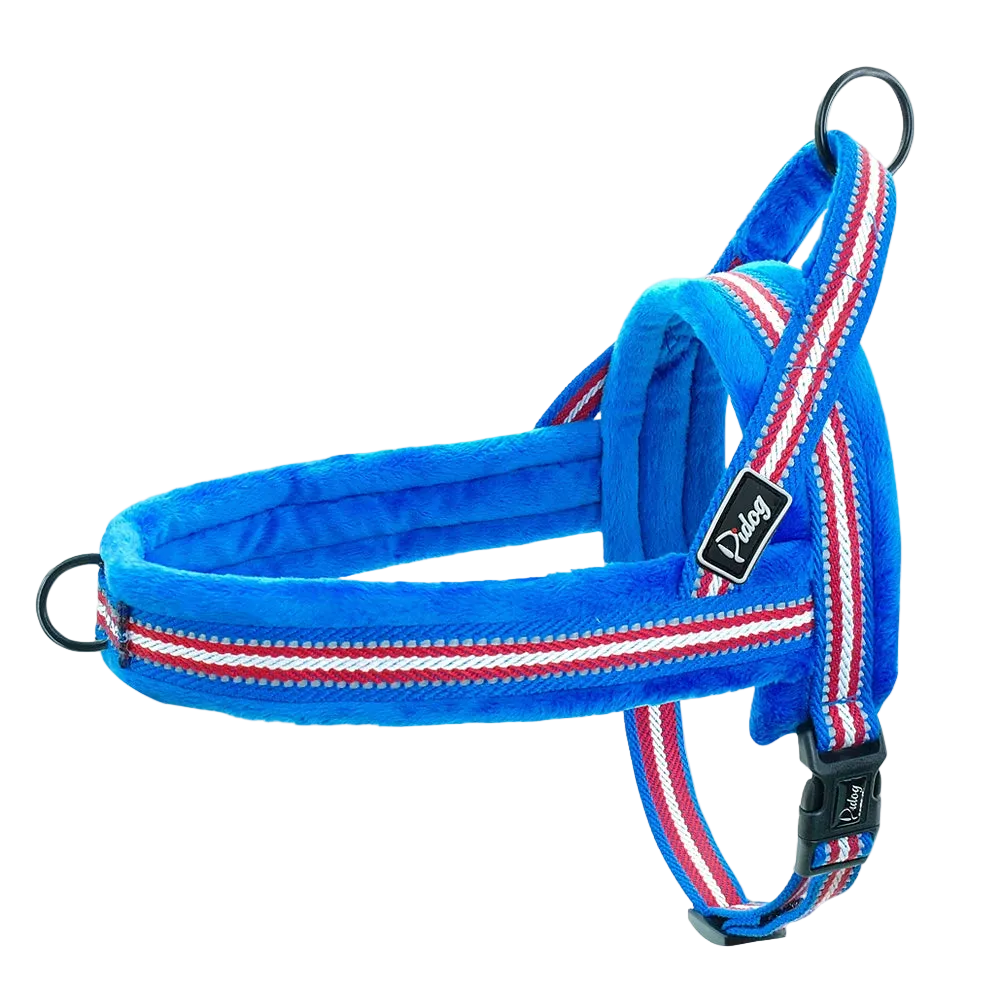 Harnais Chien Anti Traction Rembourré