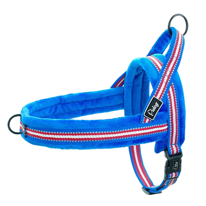 Harnais Chien Anti Traction Rembourré