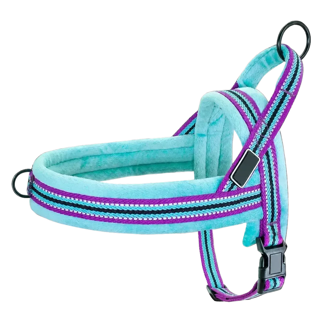 Harnais chien anti traction rembourré bleu violet