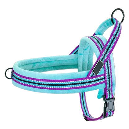 Harnais chien anti traction rembourré bleu violet