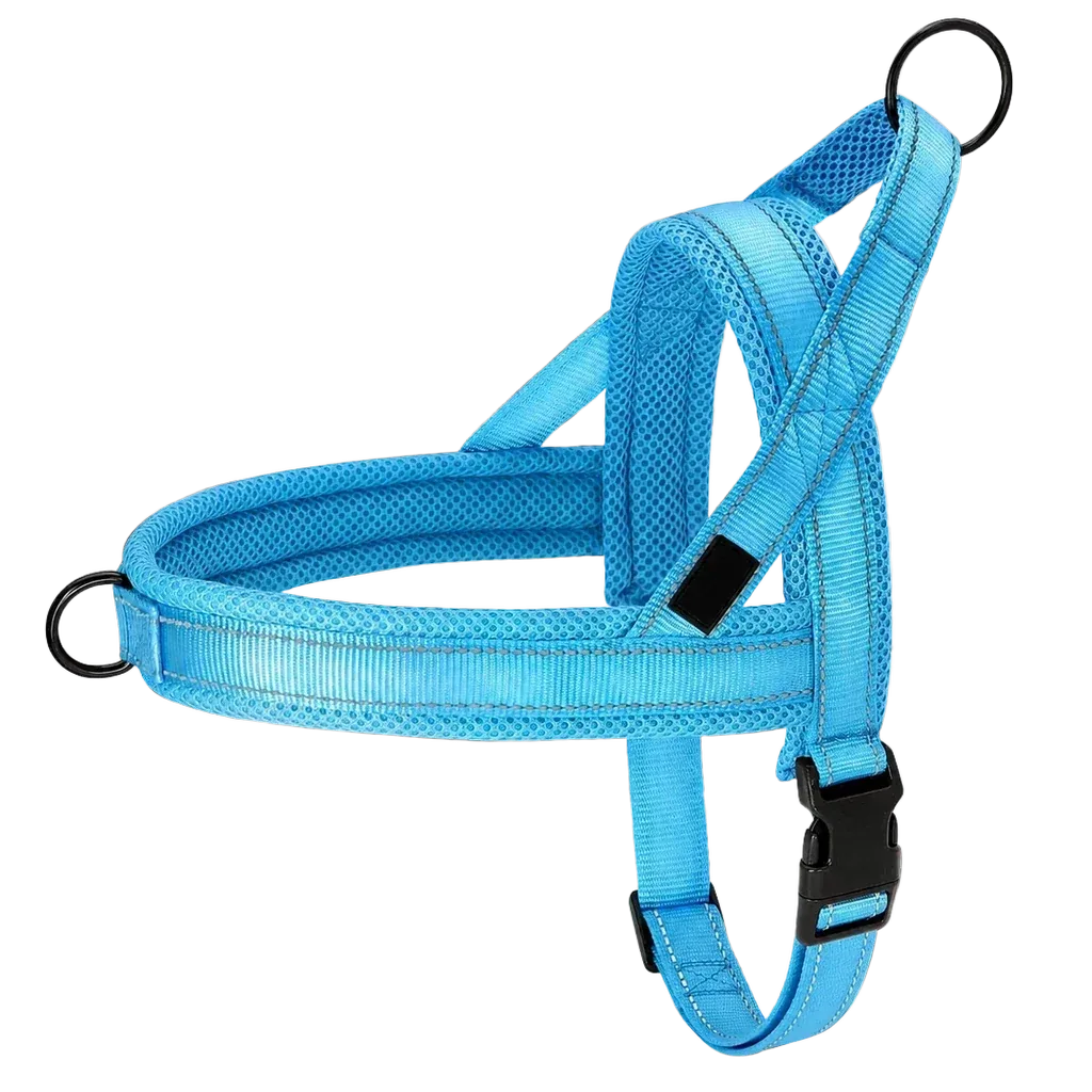 Harnais chien anti traction rembourré bleu clair