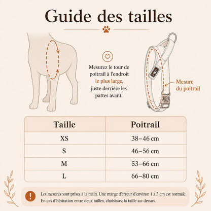 Harnais Chien Anti Traction Rembourré