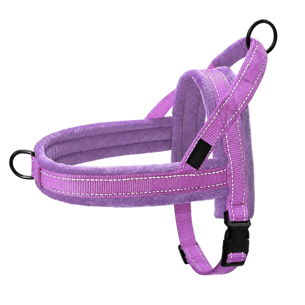 Harnais chien anti traction rembourré mauve