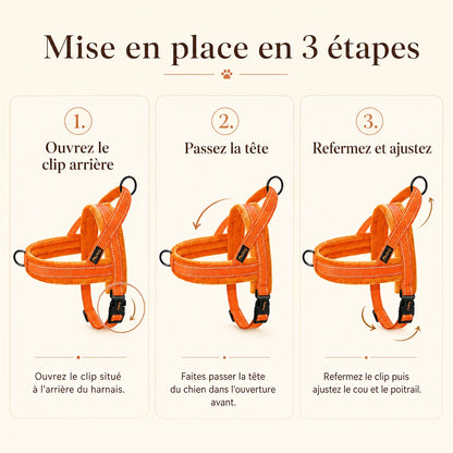 Harnais Chien Anti Traction Rembourré