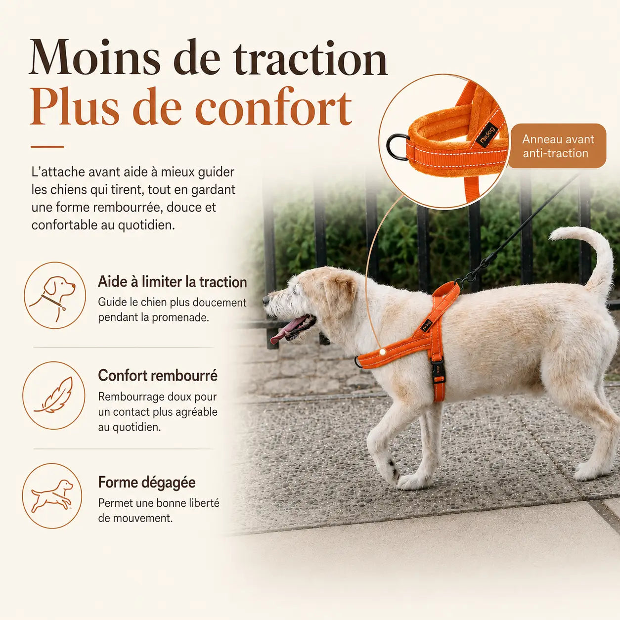 Harnais Chien Anti Traction Rembourré