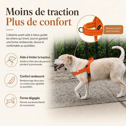 Harnais Chien Anti Traction Rembourré