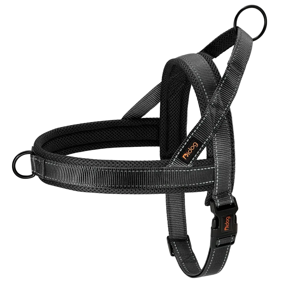 Harnais Chien Anti Traction Rembourré