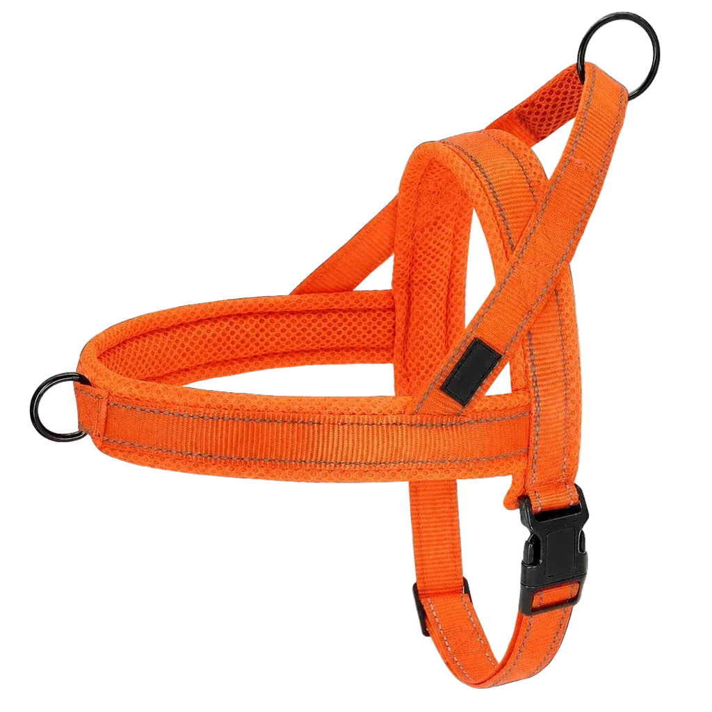 Harnais chien anti traction rembourré orange flash