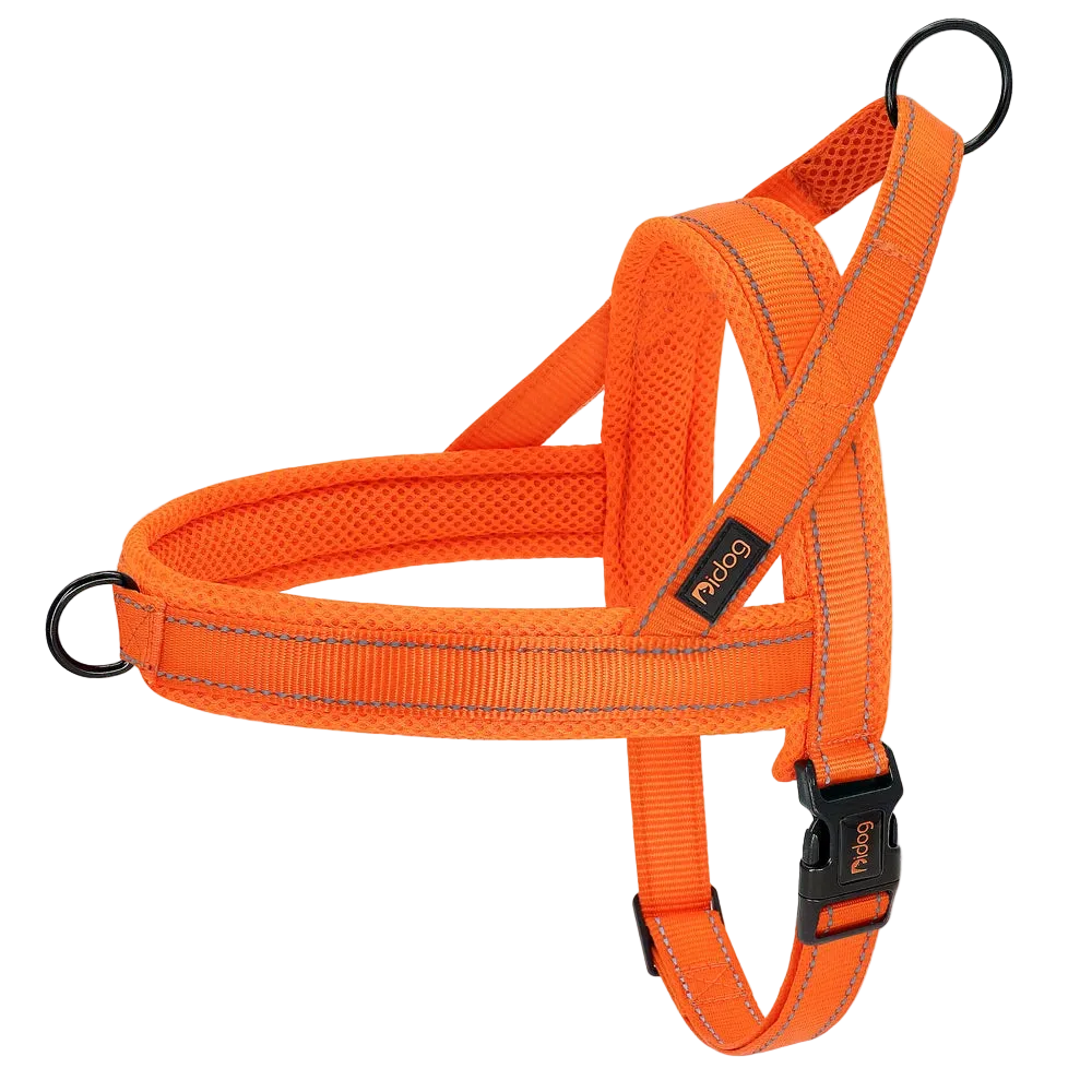 Harnais Chien Anti Traction Rembourré