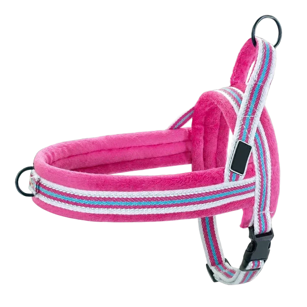 Harnais chien anti traction rembourré rose et bleu