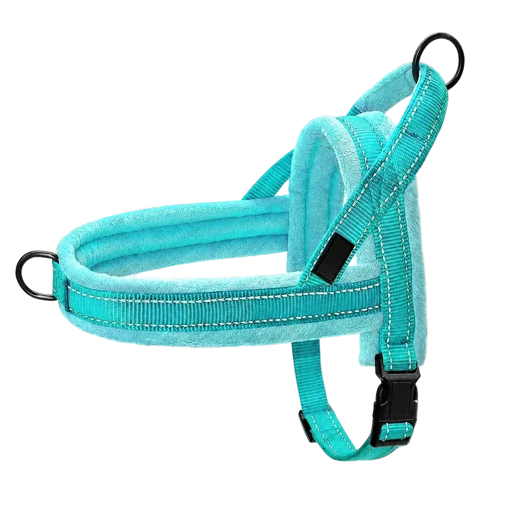 Harnais chien anti traction rembourré turquoise