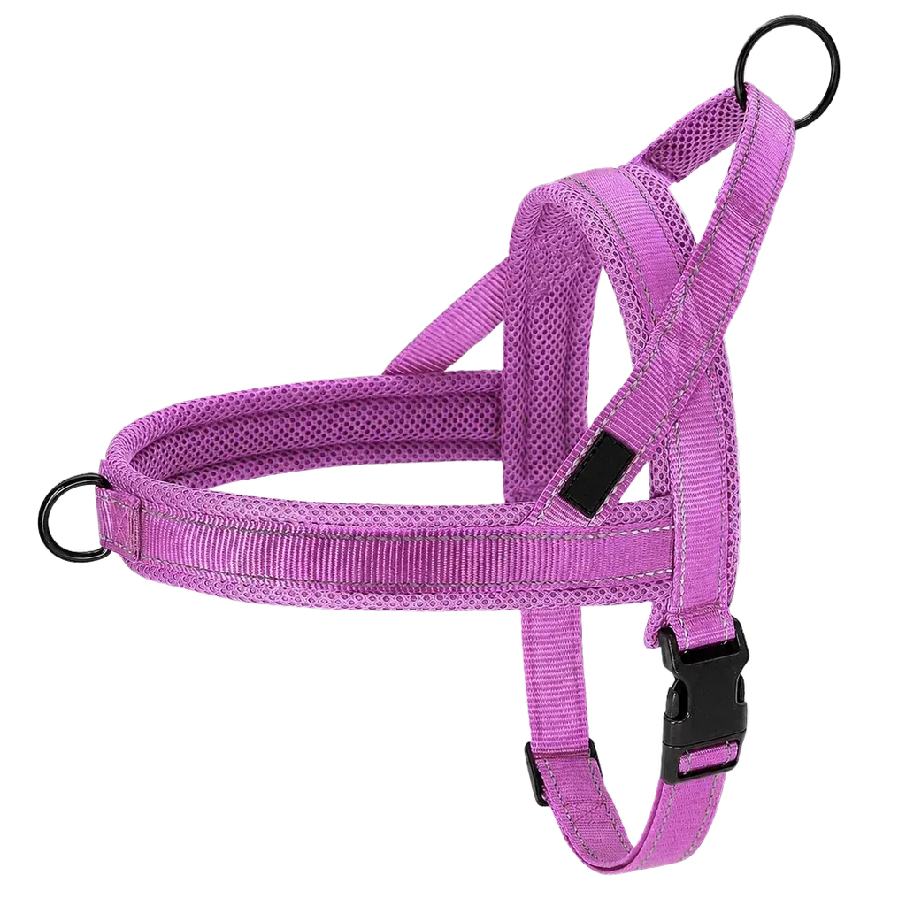 Harnais chien anti traction rembourré violet