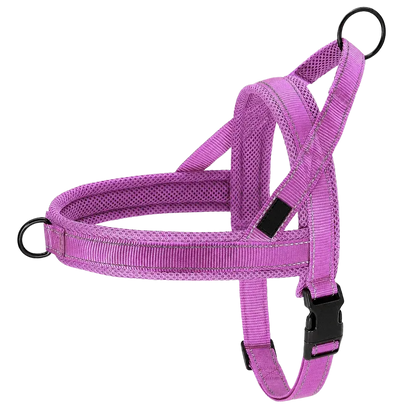 Harnais chien anti traction rembourré violet