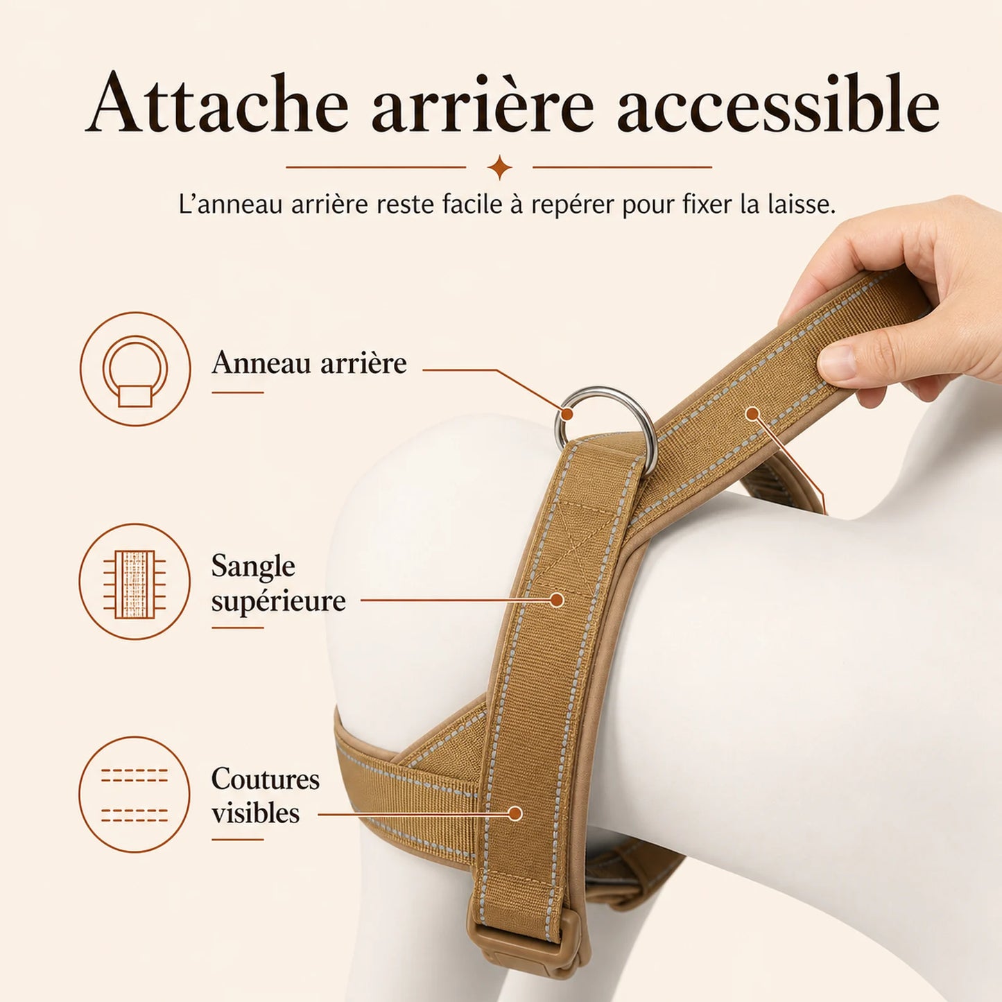 Harnais chien anti traction renforce - attache arriere accessible