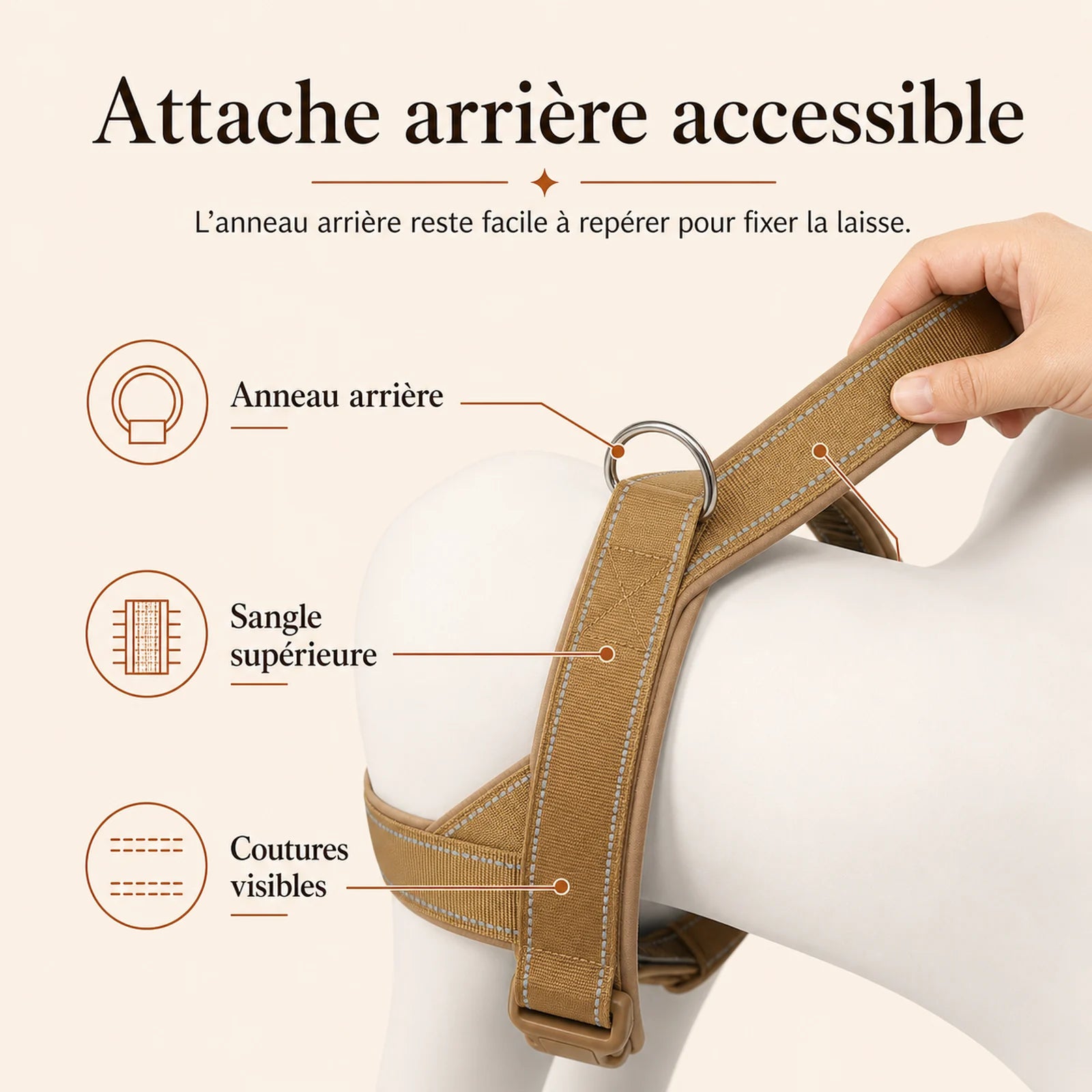 Harnais chien anti traction renforce - attache arriere accessible