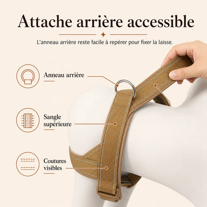 harnais chien anti traction renforce attache arriere accessible