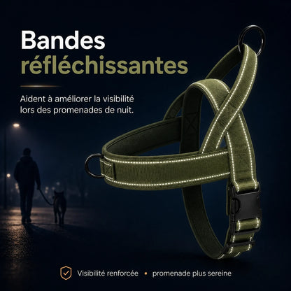 Harnais chien anti traction renforce - bandes reflechissantes