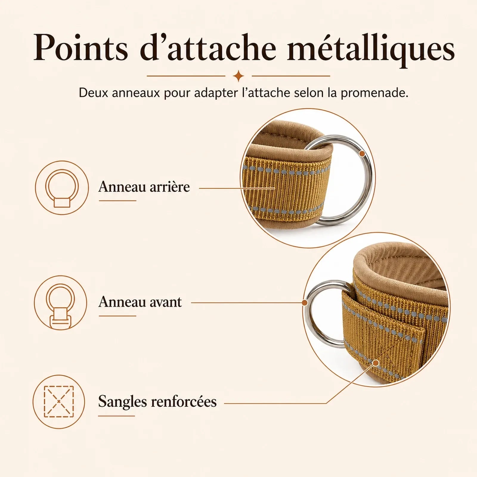 harnais chien anti traction renforce detail points attache metalliques