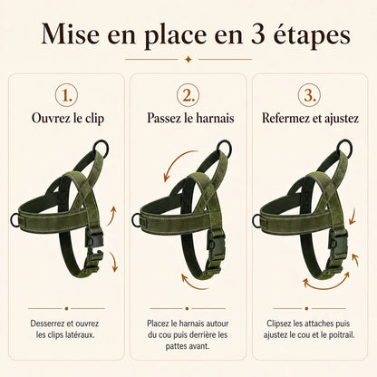 Harnais chien anti traction renforce - mise en place en 3 etapes