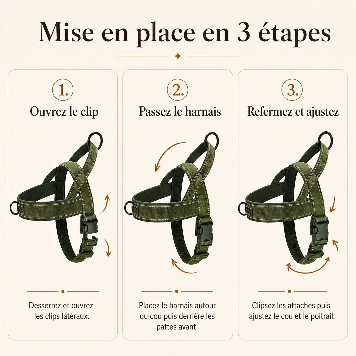 harnais chien anti traction renforce mise en place 3 etapes