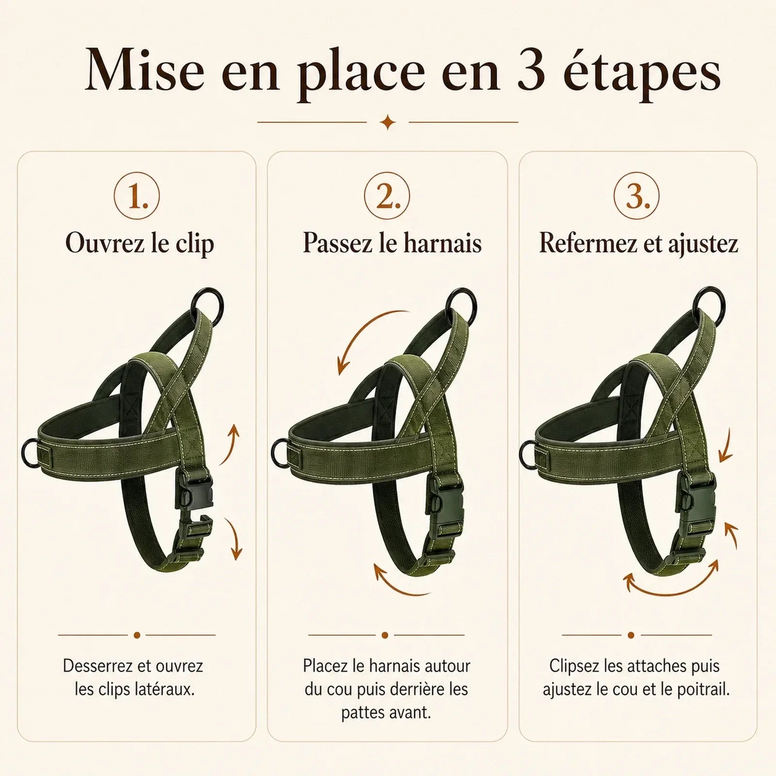 harnais chien anti traction renforce mise en place 3 etapes