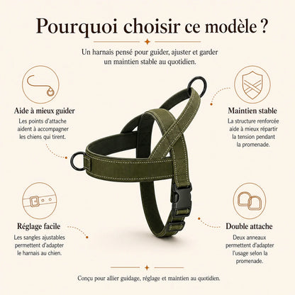 Harnais chien anti traction renforce - pourquoi choisir ce modele