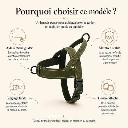 harnais chien anti traction renforce pourquoi choisir ce modele