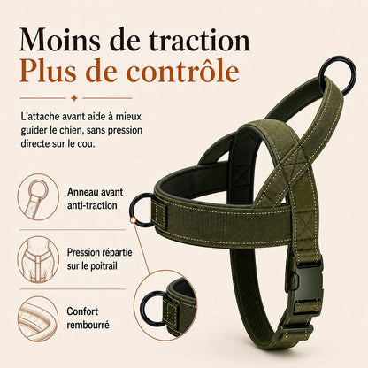 Harnais chien anti traction renforce - moins de traction plus de controle