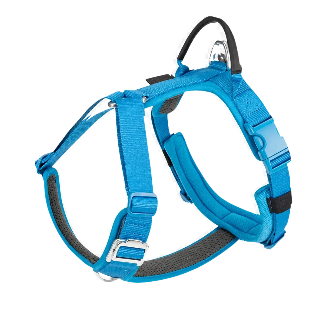 Harnais chien Anti Traction Sécurité coloris bleu