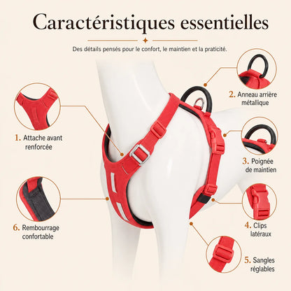 harnais chien anti traction securite caracteristiques essentielles