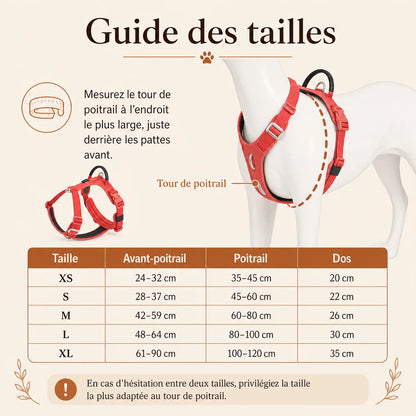 harnais chien anti traction securite guide des tailles