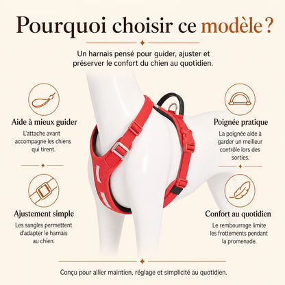 harnais chien anti traction securite pourquoi choisir ce modele