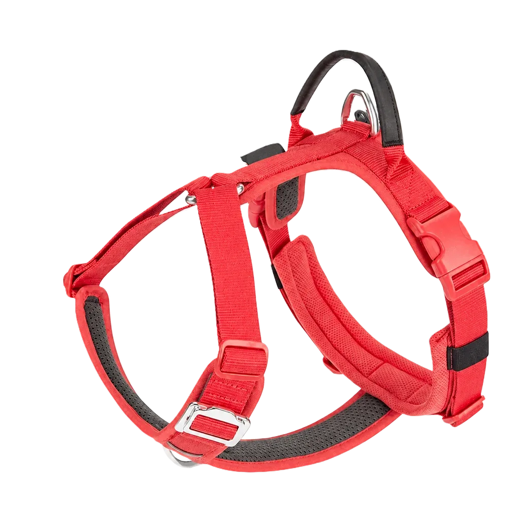 Harnais chien Anti Traction Sécurité coloris rouge, vue de profil