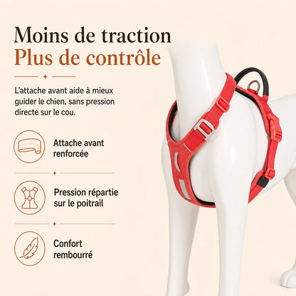 harnais chien anti traction securite traction confort