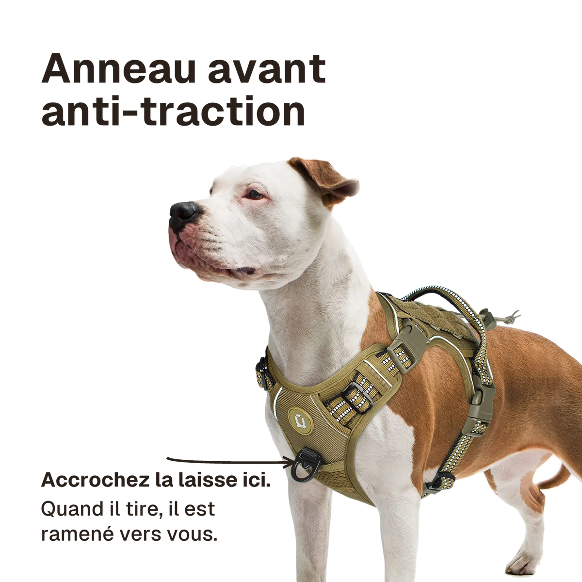 Harnais chien anti traction tactique : accrochez la laisse à l'anneau avant, le chien est ramené vers vous