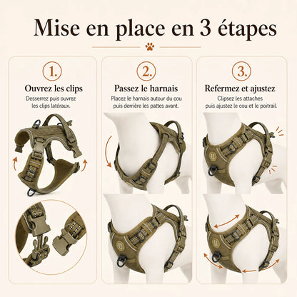 harnais chien anti traction tactique mise en place 3 etapes