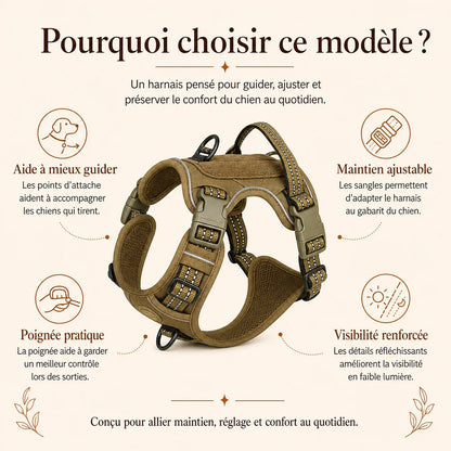 harnais chien anti traction tactique pourquoi choisir ce modele