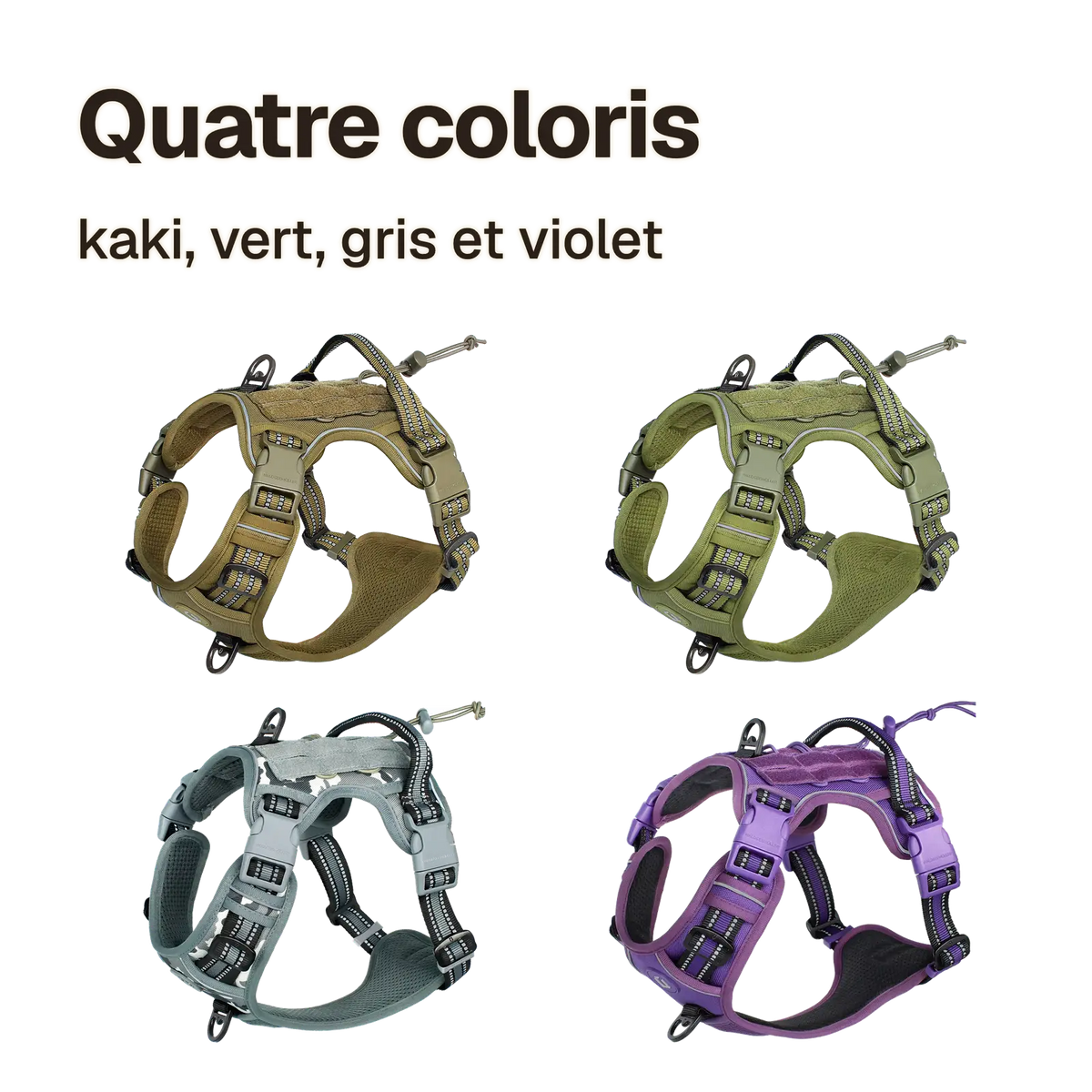 Harnais chien anti traction tactique en quatre coloris : kaki, vert, gris et violet