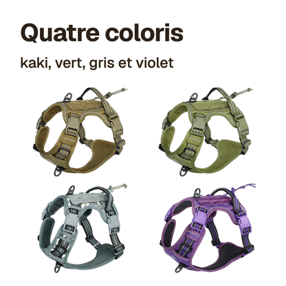Harnais chien anti traction tactique en quatre coloris : kaki, vert, gris et violet