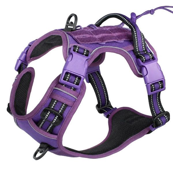 Harnais chien Anti Traction Tactique coloris violet, vue de profil