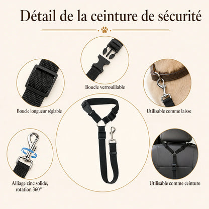 Attache Chien Voiture Appuie-Tête - Détail de la ceinture de sécurité