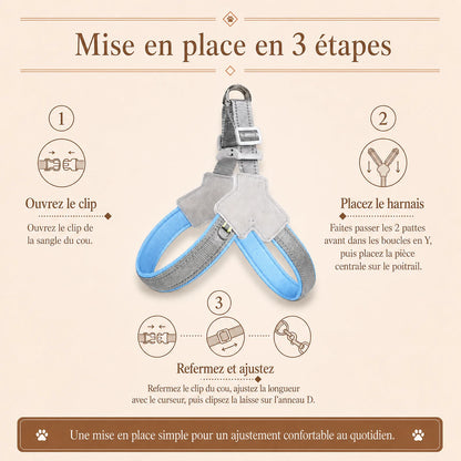 harnais chien bleu reflechissant mise en place 3 etapes